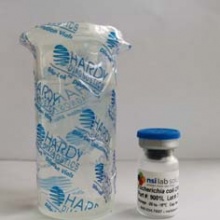 埃氏&耐熱（糞）&總大腸菌群（低濃度）