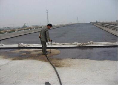 楊亞興淺談聚氨酯雙組份防水涂料